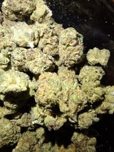 Mr.Dank review photo