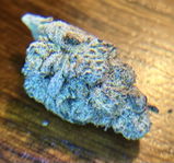 HFEBarb review photo