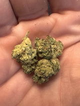 granny G. review photo