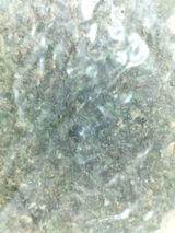 D review photo