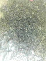 D review photo