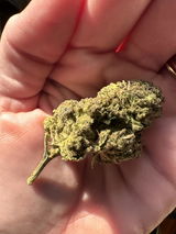 granny G. review photo