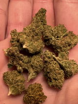 granny G. review photo