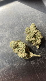 Tom H. review photo