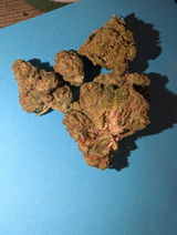 Chronic B. review photo