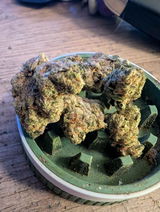 Chronic B. review photo