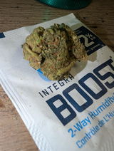 Chronic B. review photo