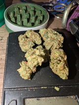 Chronic B. review photo