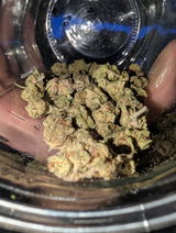 Chronic B. review photo