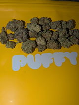 Chronic B. review photo