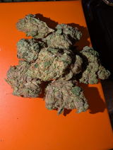 Chronic B. review photo