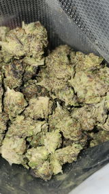 That o.b.g. review photo