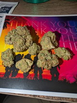 Chronic B. review photo