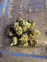 Chronic B. review photo