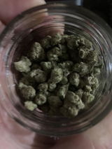 Dogsusej review photo