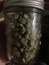 Dogsusej review photo