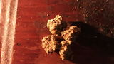 Justin S. review photo