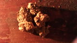 Justin S. review photo