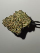 Joseph D. review photo