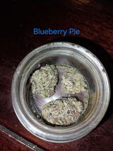 Tyler B. review photo