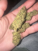 Anon review photo