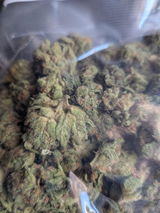 Brad C. review photo