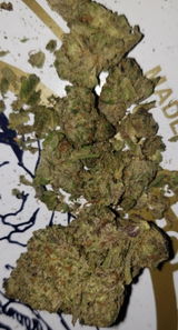 Chainsaw R. review photo