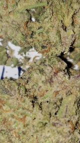 Chainsaw R. review photo