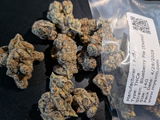 Brad C. review photo