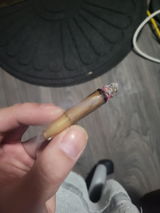 StankyDanky1 review photo