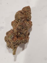 Jacob H. review photo