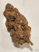 Jacob H. review photo