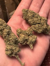 granny G. review photo