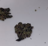 Ry G. review photo