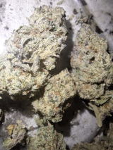 Mr.Dank review photo