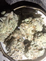Mr.Dank review photo