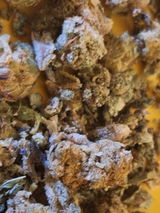 Mr.Dank review photo