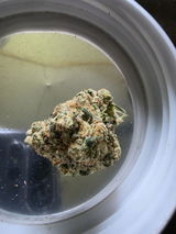 Anibal S. review photo