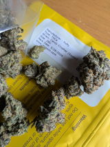 Brad C. review photo