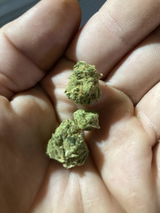 Dogsusej review photo