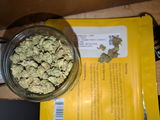 Brad C. review photo