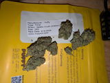 Brad C. review photo