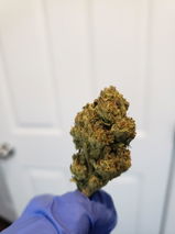 Massivefacts review photo