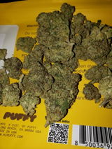 Massivefacts review photo