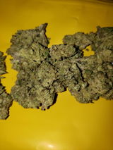 Massivefacts review photo