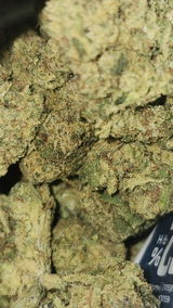 That o.b.g. review photo
