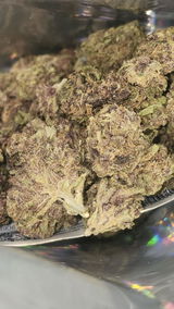 That o.b.g. review photo