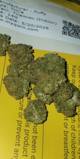 That o.b.g. review photo