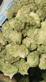 That o.b.g. review photo