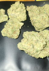 That o.b.g. review photo